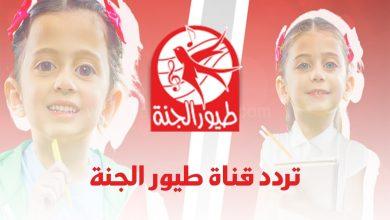 هل تغير تردد قناة طيور الجنة
