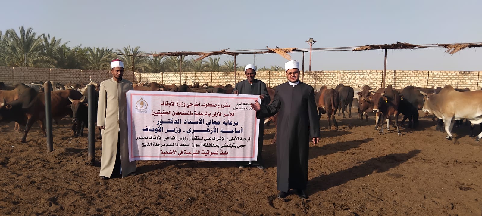 الأوقاف تتابع تجهيز الأضاحي بمجازر أبو سمبل استعدادًا للعيد
