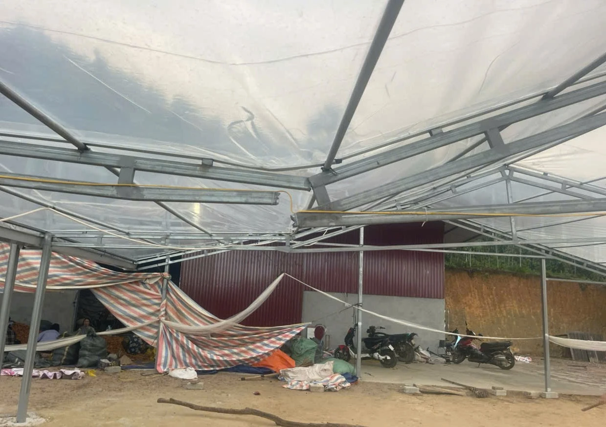 اقتلعت عاصفة هوائية سقف حظيرة تجفيف تابعة لسكان كومونة شوان آي. 1779891775237-3166989527127377738-3166989527127377738-421e2cff1ae2cb57ad744611da128f28.jpg
