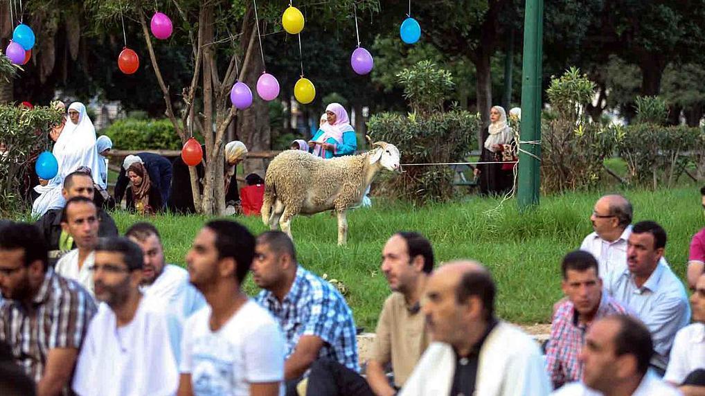 أطفال يستمتعون بوقت فراغهم بينما يؤدي آباؤهم صلاة عيد الأضحى في تونس بتاريخ 15 أكتوبر/ تشرين الأول 2013.