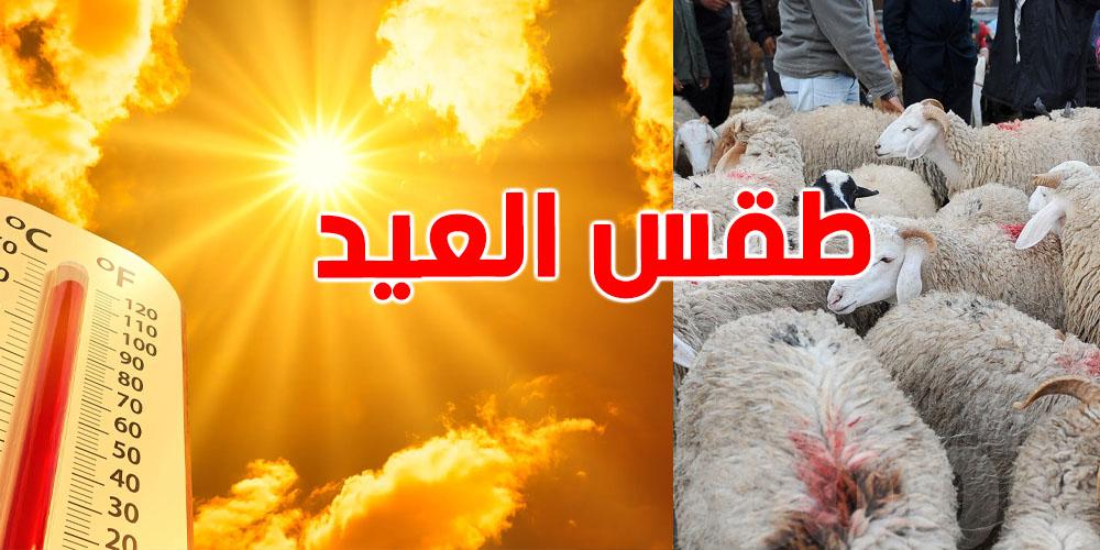 عاجل-محرز الغنوشي: ''طقس العيد صيافي ثم صيافي ثم صيافي..''